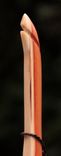 Yew Longbow - American 4 small