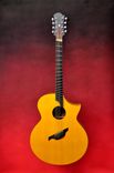 Custom Made Guitar Family Musical Instrument 1 small