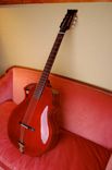 Custom Made Guitar Family Musical Instrument 3 small