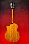Custom Made Guitar Family Musical Instrument 2 small