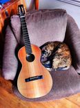 Custom Made Guitar Family Musical Instrument 8 small