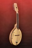 Custom Handmade Mandolin Family Musical Instrument 1 small