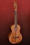 Custom Made Ukulele Family Musical Instrument 1 small
