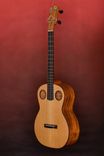 Custom Made Ukulele Family Musical Instrument 5 small