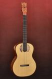 Custom Made Ukulele Family Musical Instrument 6 small