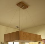 Dining Room Light Fixture 1 small