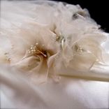 Bridal Veils 3 small