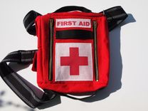 Purses And Backpacks 1 small