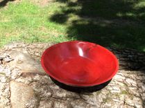 Dyed Spalted American Beech Bowls 3 small