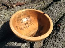 Spalted Beech Bowls 5 small