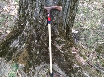 Sports Themed Walking Canes 2 small