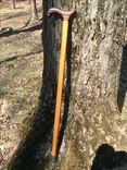 Exotic Zebrawood And Jatobawood Walking Cane 4 small