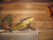 Hand Carved German Brown Trout 3 small