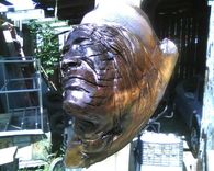 Walnut Wall Hanging Wood Sculpture 1 small