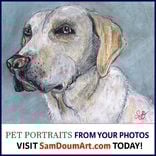 Animal And Pet Portraits 3 small