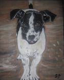 Animal And Pet Portraits 4 small