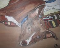 Animal And Pet Portraits 1 small