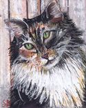 Animal And Pet Portraits 6 small