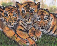 Animal And Pet Portraits 2 small