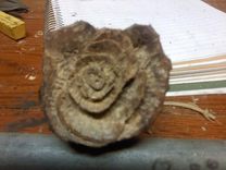 Everlasting Impressions Wood Carving 4 small