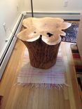 Stump, Tree Base End Tables 1 small