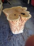 Stump, Tree Base End Tables 3 small