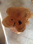 Stump, Tree Base End Tables 4 small