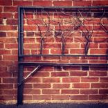 Artistic Steel Rod Headboard 1 small