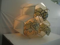 Bees In The Comb. 2 small