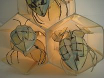 Bees In The Comb. 3 small