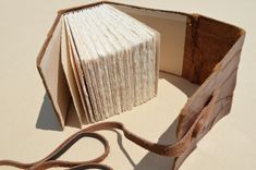 Handmade Bound Alligator Hide Book Sculpture Coffee Table Book (478) 2 small