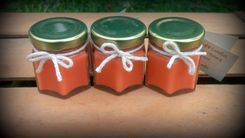 2oz Mini Soy Candles 3 small