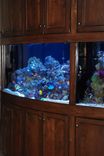Rustic Radius Aquarium Stand/Cabinet Unit 3 small