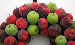 Sugared Apple Wreath 3 small