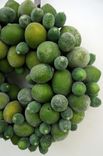Sugared Lime Wreath 5 small