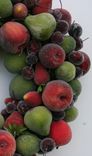 Sugared Fruit Wreath 3 small