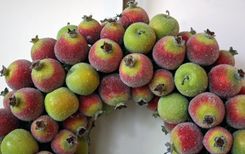 Sugared Pomegranate And Apple Wreath 3 small