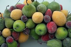 Sugared Fruit Wreath 1 small