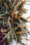 Fall Woodland Wonder Wreath 2 small