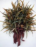 Fall Woodland Wonder Wreath 4 small