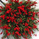 Red Baby's Breath Wreath 5 small