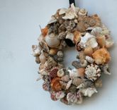 Sea Shell Decor 1 small