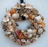 Sea Shell Decor 2 small