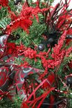 Contemporary Christmas Wreath 5 small