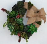 Succulent Wreath 1 small
