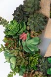 Succulent Wreath 2 small