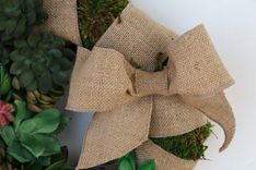 Succulent Wreath 3 small