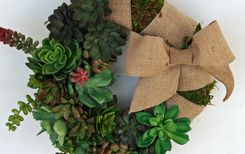 Succulent Wreath 4 small