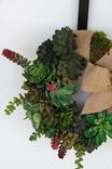 Succulent Wreath 5 small