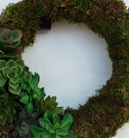 Succulent Wreath 2 small